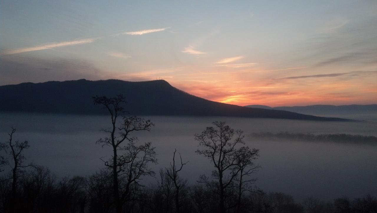 736300_10151530134710101_998004178_o